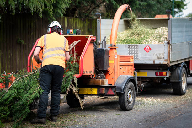 Mulching Services in Malibu, CA